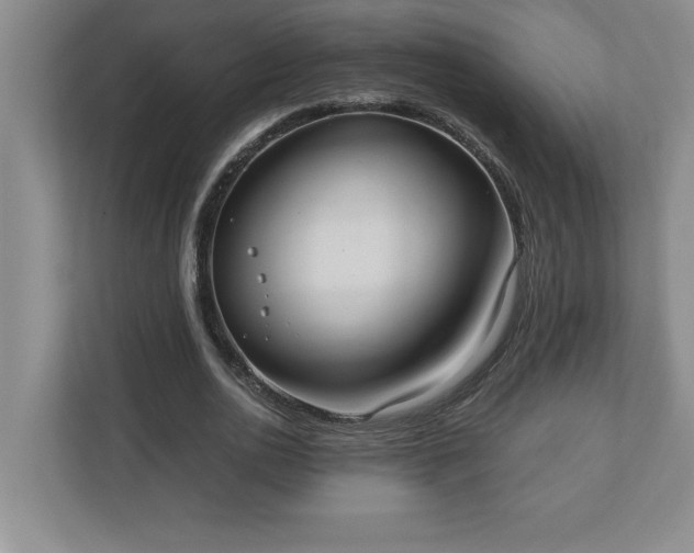 X0000110770726200906221141