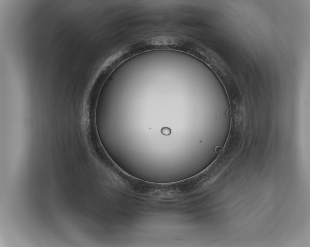 X0000110770727200906221141