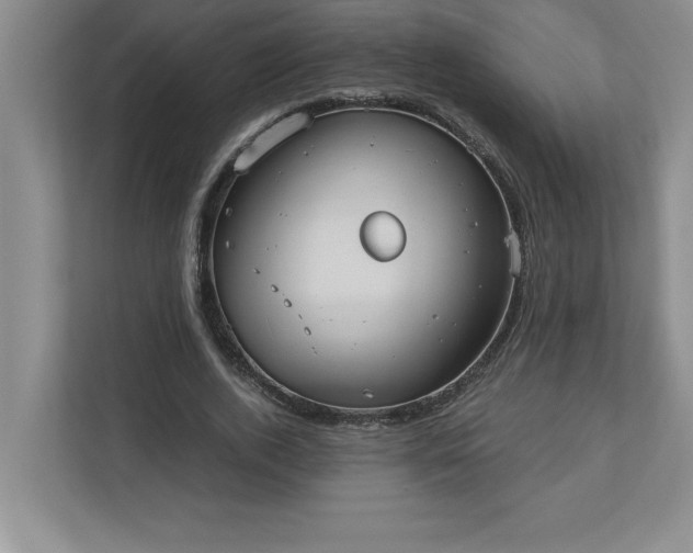 X0000110770728200906221141