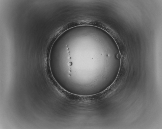 X0000110770729200906221141