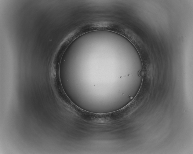 X0000110770731200906221141