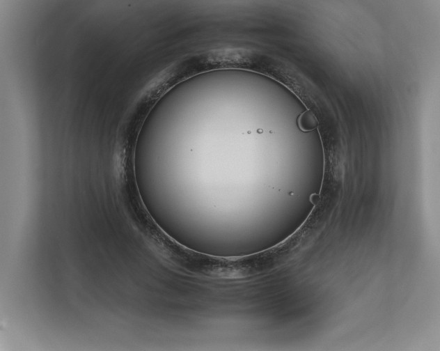 X0000110770735200906221141