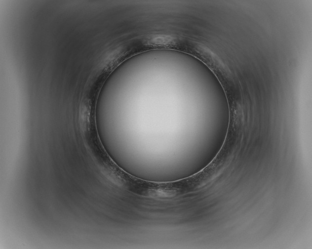 X0000110770739200906221142