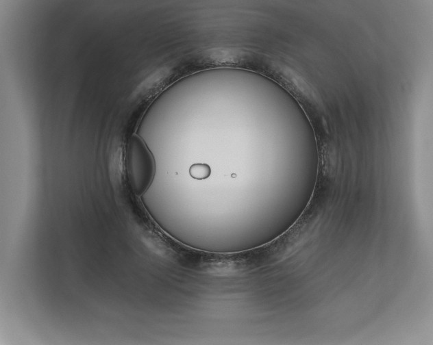 X0000110770740200906221142