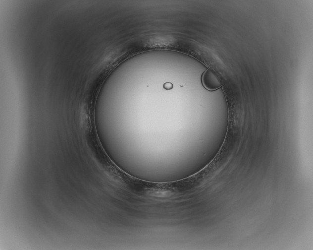 X0000110770743200906221142