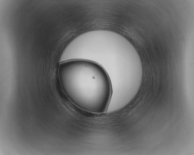 X0000110770744200906221142