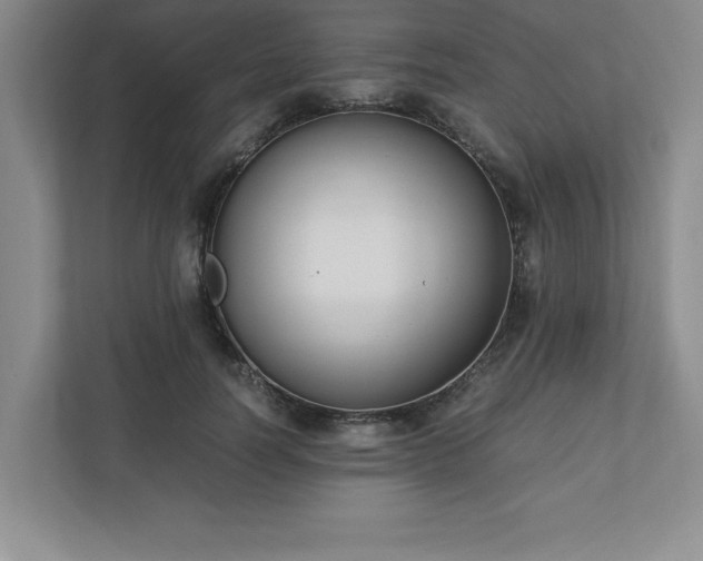 X0000110770746200906221142