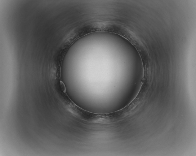 X0000110770750200906221142