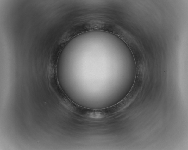 X0000110770751200906221142