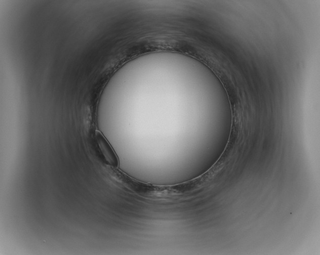 X0000110770752200906221142