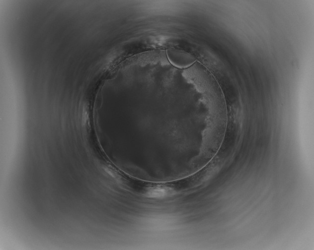 X0000110770754200906221142