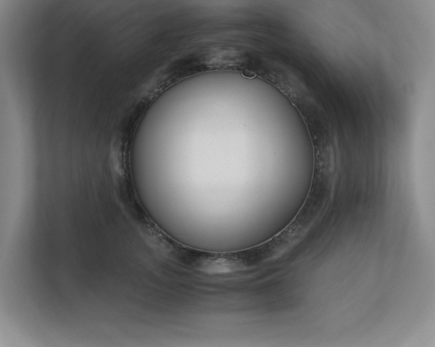 X0000110770755200906221142