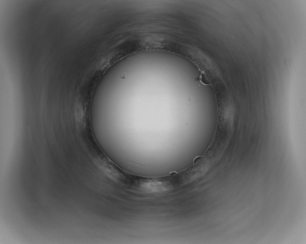 X0000110770759200906221142