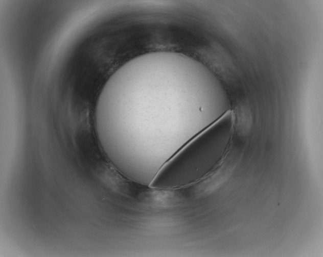 X0000110770762200906221142