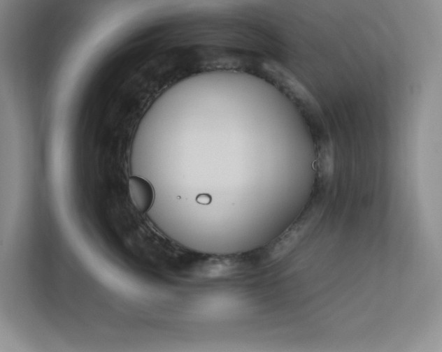 X0000110770764200906221142