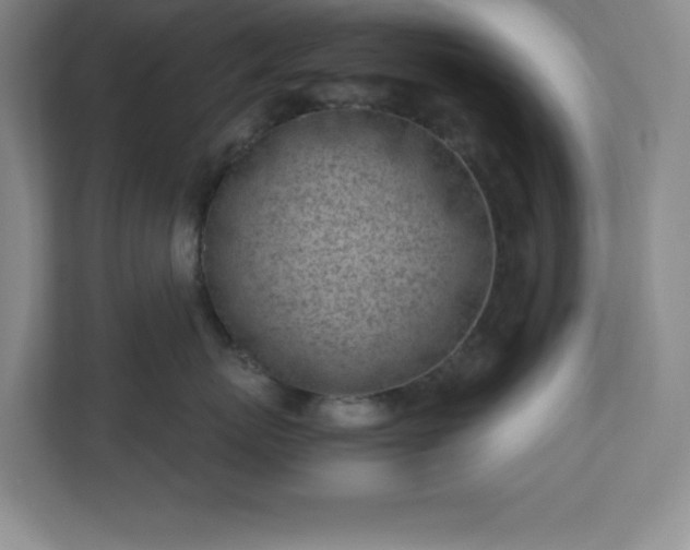 X0000110770767200906221142