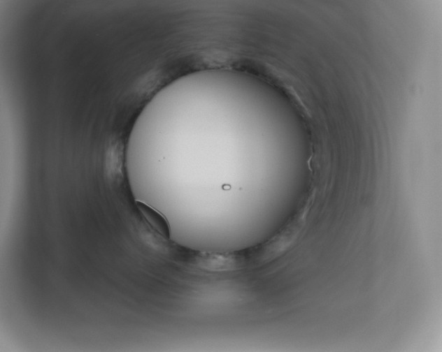 X0000110770768200906221142