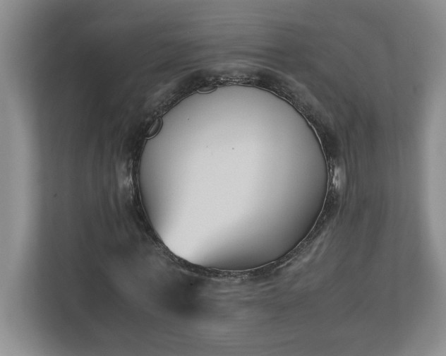 X0000110770771200906221141