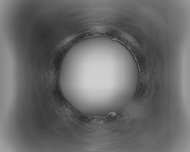 X0000110770773200906221141