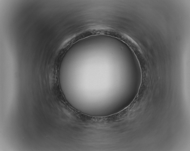 X0000110770775200906221141