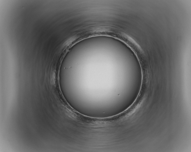 X0000110770777200906221141