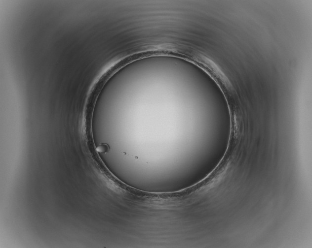 X0000110770780200906221141