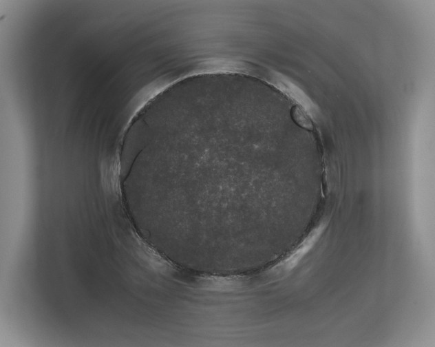 X0000110770781200906221141