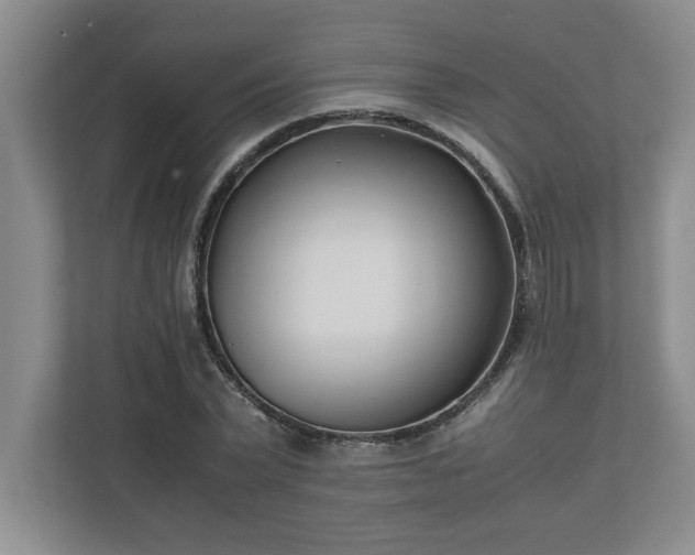 X0000110770783200906221141