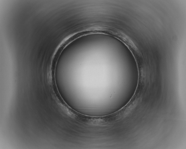 X0000110770784200906221141