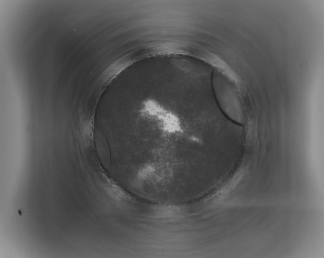 X0000110770785200906221141