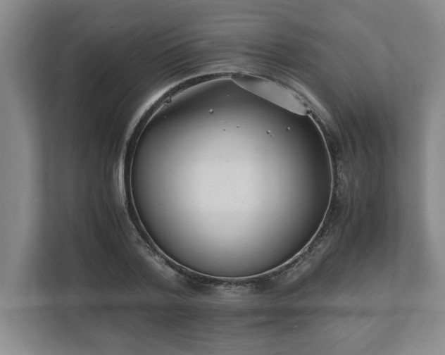 X0000110770788200906221141