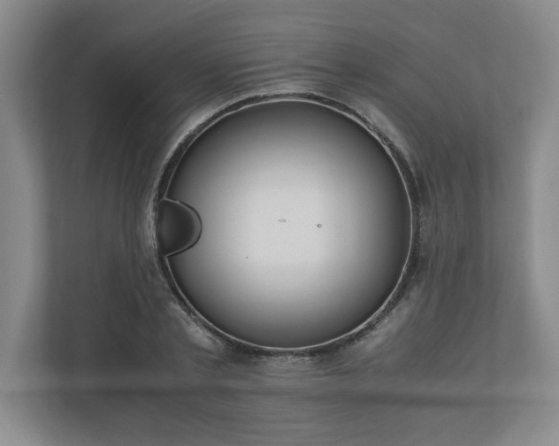 X0000110770789200906221141