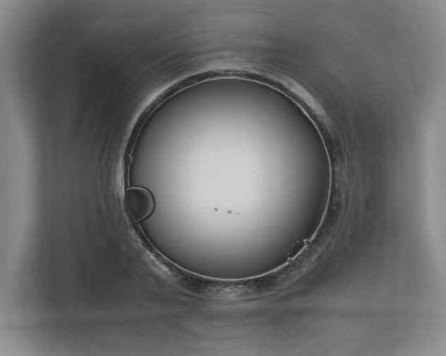 X0000110770791200906221141