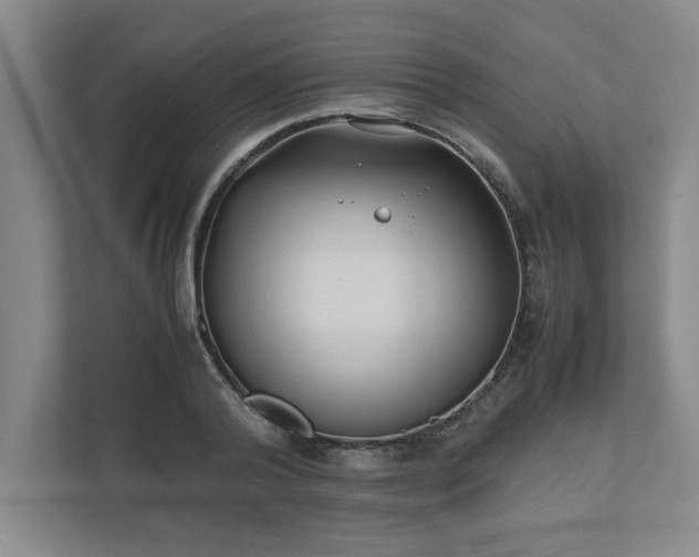 X0000110770792200906221141