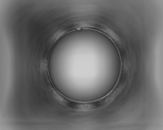 X0000110770793200906221141