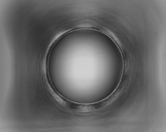 X0000110770795200906221141