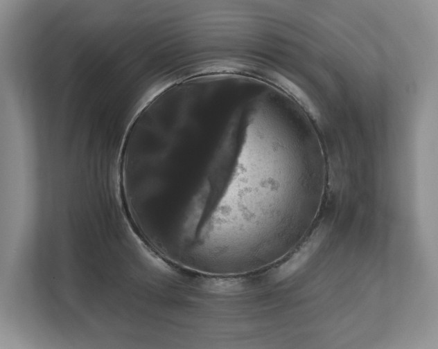 X0000110770802200906221141