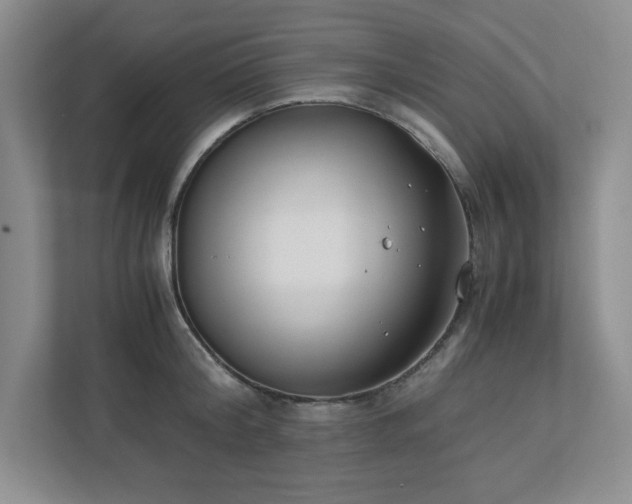 X0000110770804200906221141