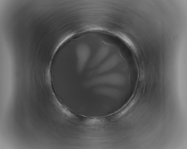 X0000110770806200906221141