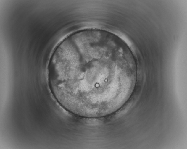 X0000110770807200906221141