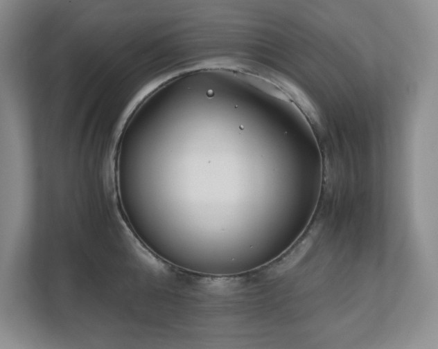 X0000110770808200906221141