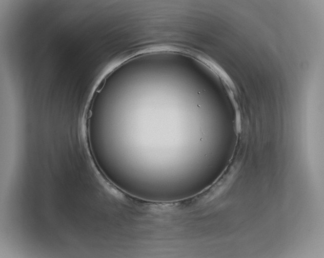 X0000110770813200906221141