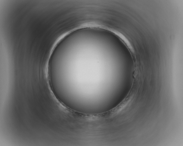 X0000110770815200906221141