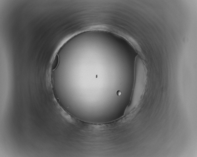 X0000110770816200906221141