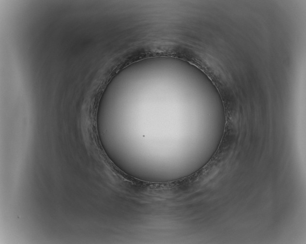 X0000110770817200906221140