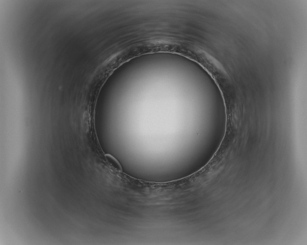 X0000110770821200906221140