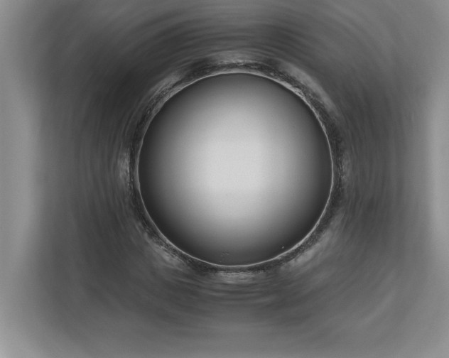 X0000110770825200906221140