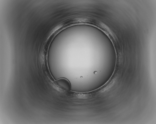 X0000110770827200906221140