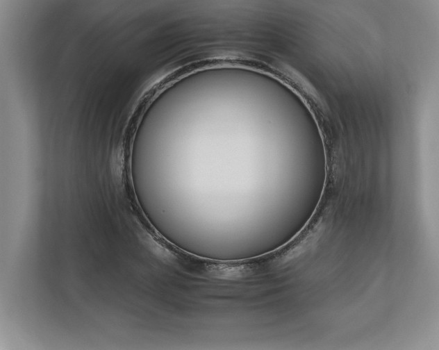 X0000110770831200906221140