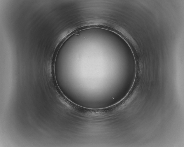 X0000110770834200906221140